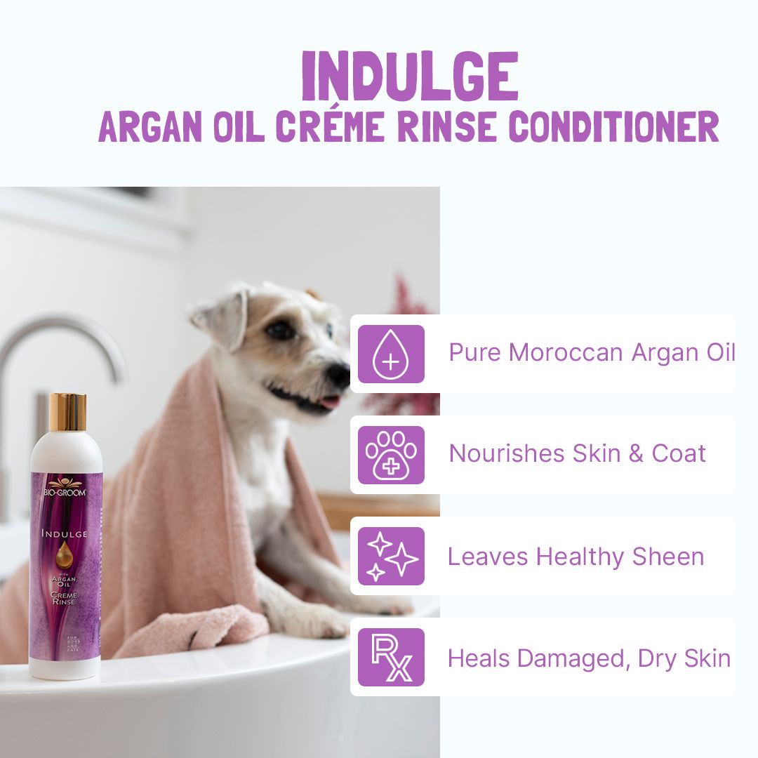 Bio-Groom Indulge™ Argan Oil hoitoaine 8oz/236ml