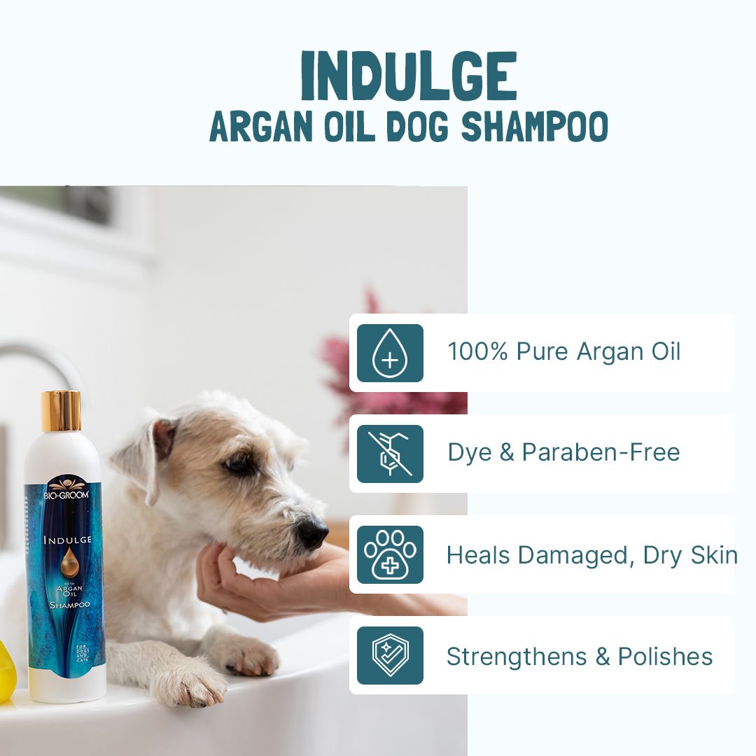Bio-Groom Indulge™ Argan Oil shampoo 8oz/236ml