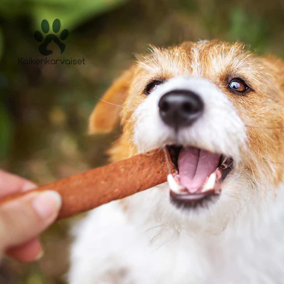 Kaikenkarvaiset Peuran lihalastu 100g