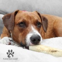 Kaikenkarvaiset Herkkupatukka 5 kpl