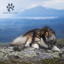 Kaikenkarvaiset Norjalainen turska paloina 150g