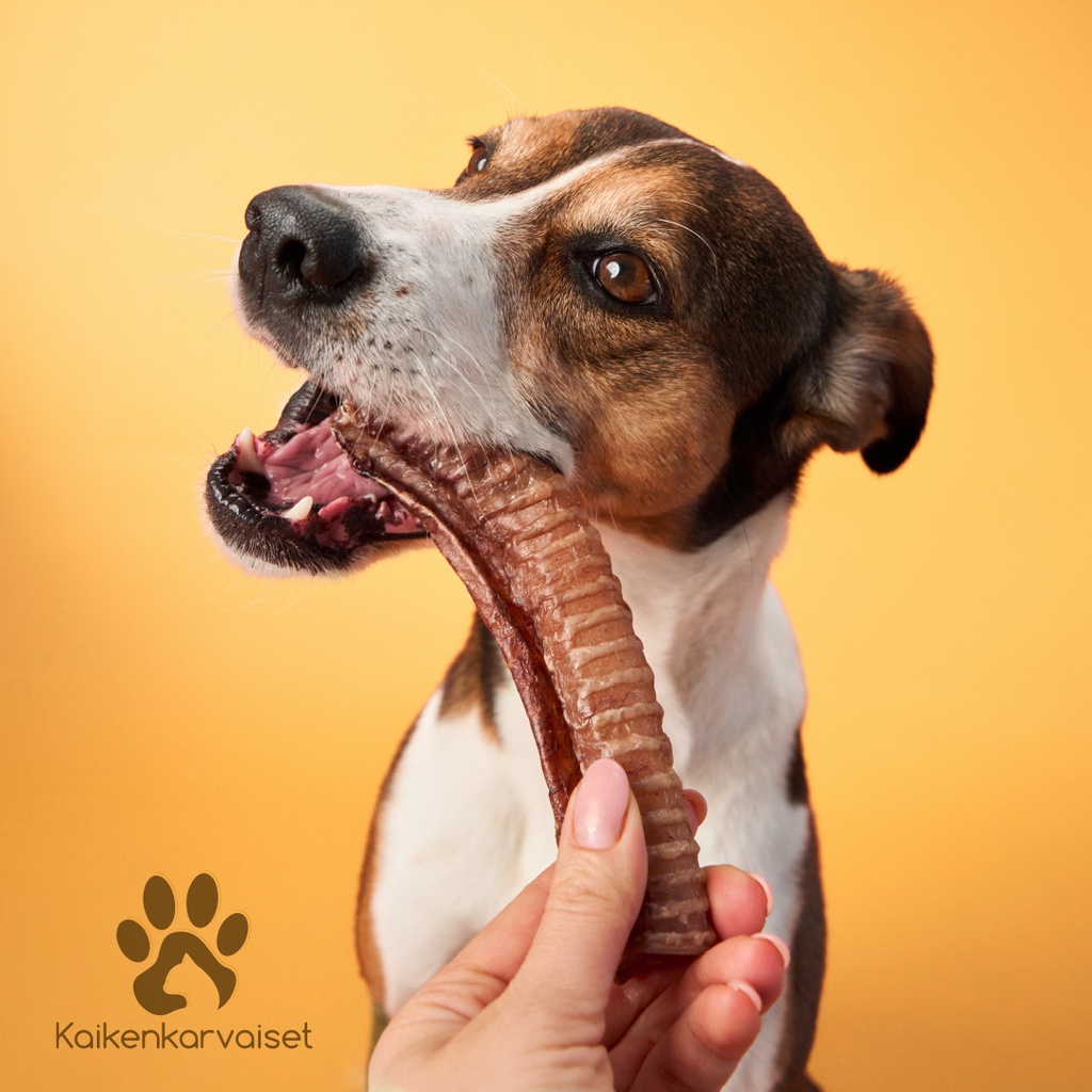 Kaikenkarvaiset Strutsin henkitorvi 100 g