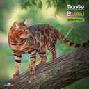 Monge cat adult BWild grain free tonnikala-herne 1,5kg