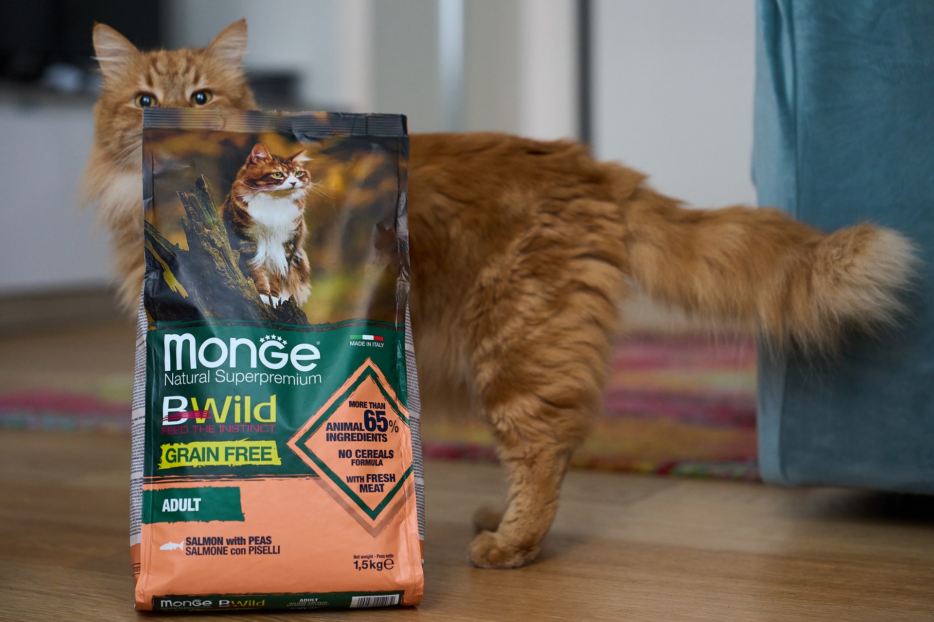 Monge cat adult BWild grain free lohi-herne 1,5kg