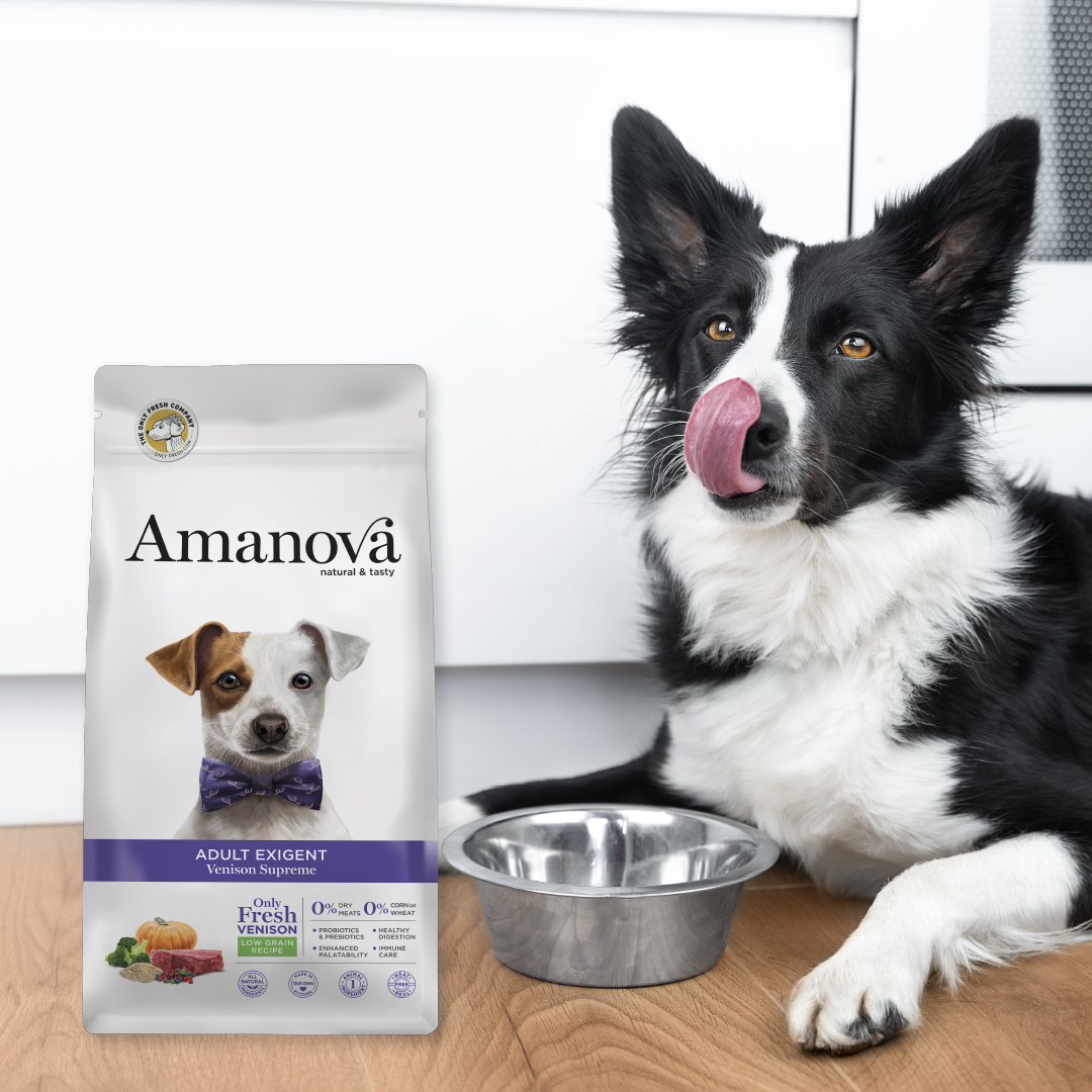 Amanova dog adult Exigent Rådjur 2 kg