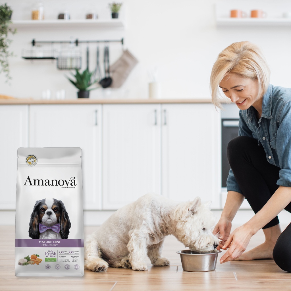 Amanova dog adult Mature mini kala 0,5 kg