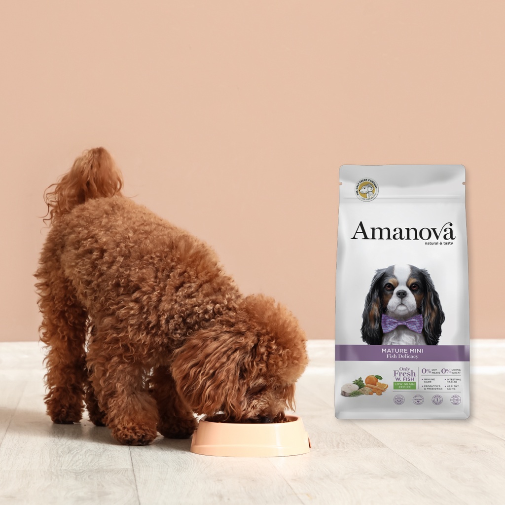 Amanova dog adult Mature mini kala 2 kg