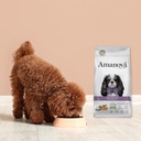 Amanova dog adult Mature mini kala 2 kg