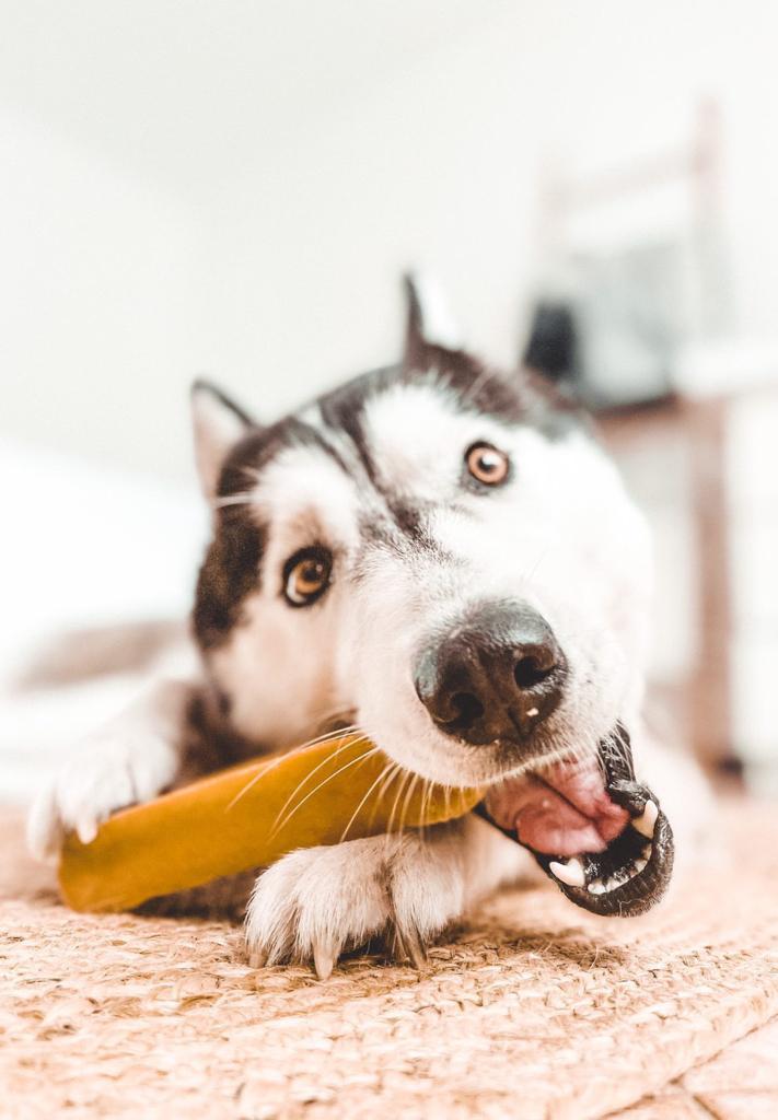 Churpi Coconut L Jakinmaito puruluu 130g