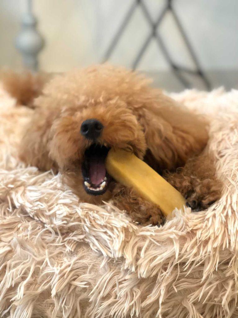 Churpi M Jakinmaito puruluu 70g