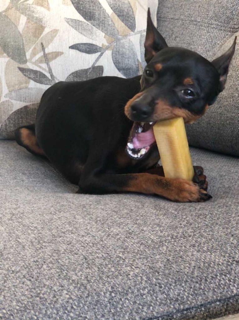 Churpi S Jakinmaito puruluu 33g