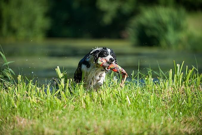 Major Dog Dummy Boje Poiju Large