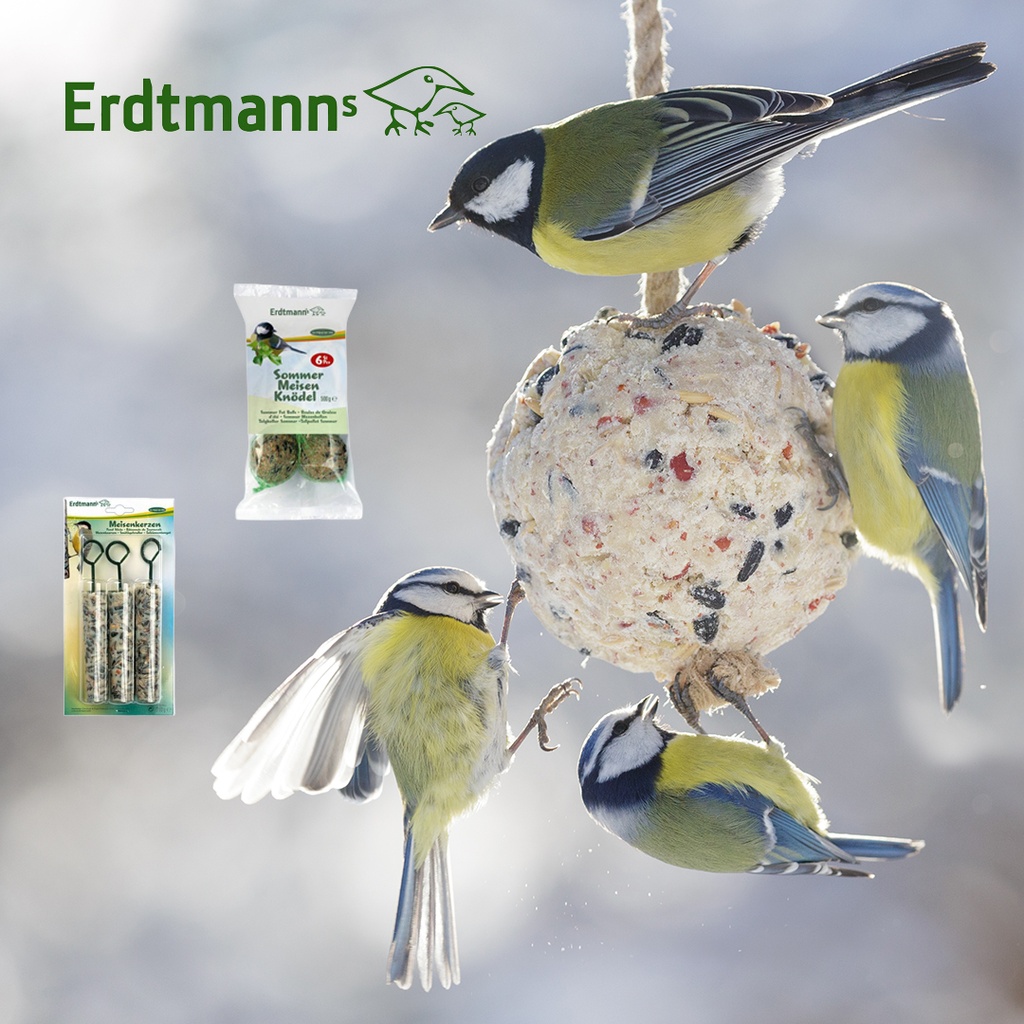 Erdtmann hedelmätalipallot verkolla 6kpl/pss