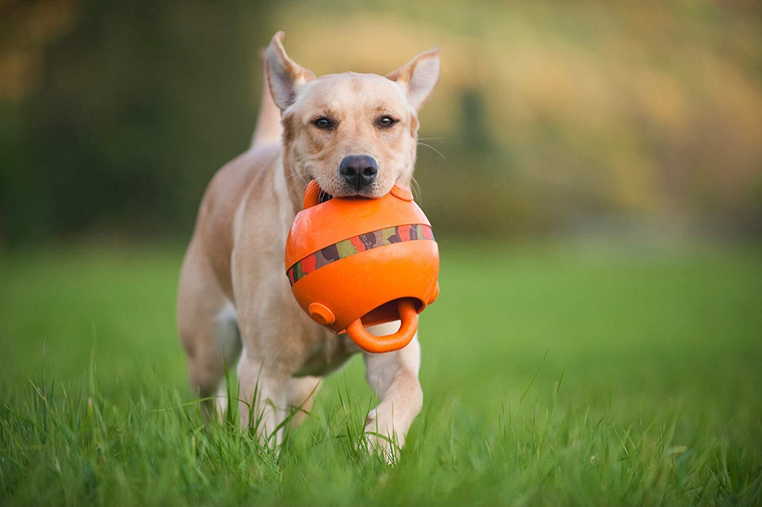 Major Dog Dummy Ball Pallo