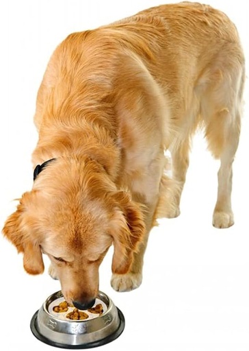 [124117] SnuggleSafe GobbleStopper Slow Feeder hotkimisen estoon 18 cm kiekko