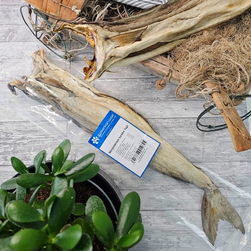 [230004] Kaikenkarvaiset Norwegian Cod (whole) 1 pc