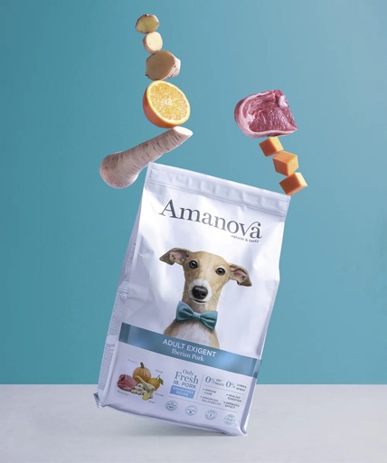 [245554] Maistelupussi Amanova dog adult Mobility kala & kvinoa 70g (kopio)